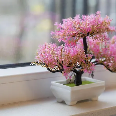 Appartement Dark Blue And Grey With Pastel Bedroom In By Renters