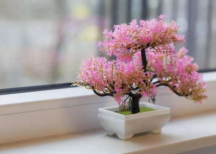 Apartman Dark Blue And Grey With Pastel Bedroom In By Renters